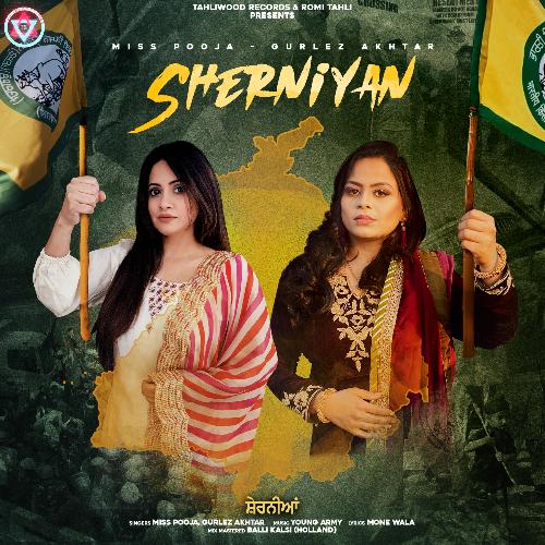 Sherniyan (2021) (Hindi)